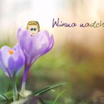 wiosna2019